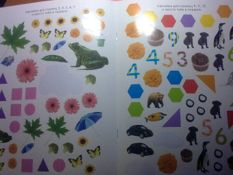 Обведи, наклей, узнай (без фломастера). Цвета