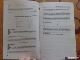 Юрий Седов: Чтобы куры неслись круглый год