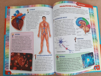 Первая энциклопедия для дошкольников