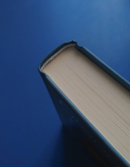 Уильям Моррис: Повесть о Роскошной и Манящей Равнине