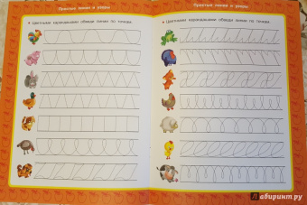 Валентина Дмитриева: Простые линии и узоры