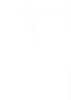 Светлов, Степанова, Алымова: История античной философии