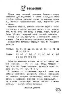 Ольга Соломатова: Учу звуки и буквы