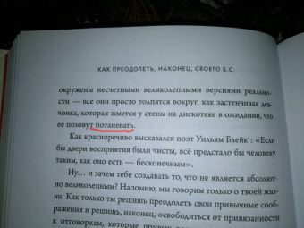 Джен Синсеро: НИ СЫ. Будь уверен в своих силах и не позволяй сомнениям мешать тебе двигаться вперед