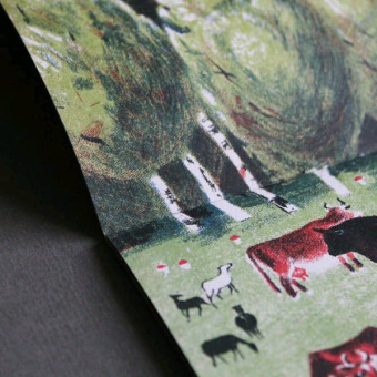 Елена Сафонова: Река. Комплект из двух книг в папке