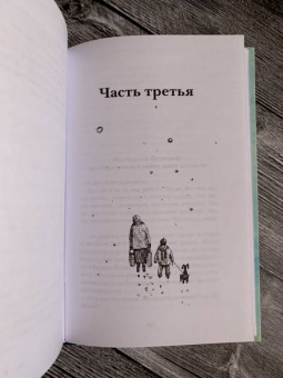 Александра Николаенко: Небесный почтальон Федя Булкин