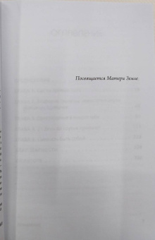 Джен Синсеро: НИ ЗЯ. Откажись от пагубных слабостей, обрети силу духа и стань хозяином своей судьбы