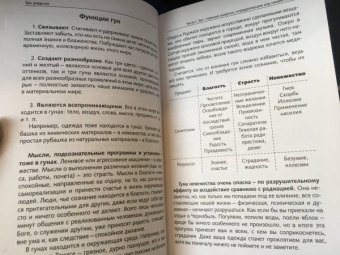Рами Блект: Три энергии. Забытые каноны здоровья и гармонии