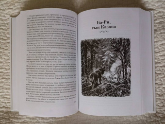 Джеймс Кервуд: Бродяги Севера