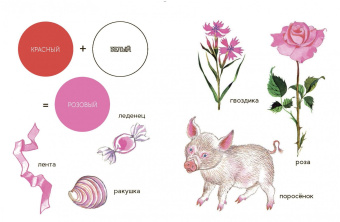 Елена Ивановская: Моя первая книжка о цвете