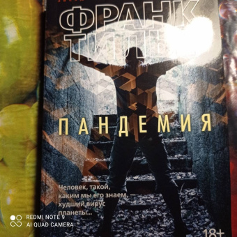 Франк Тилье: Пандемия