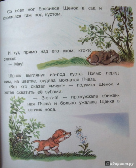 Владимир Сутеев: Загадочные истории