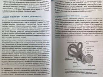 Линхард, Шмид-Фетцер, Кобб: Настройка системы тело-мозг. Простые упражнения для активации блуждающего нерва против депрессии