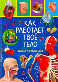 Как работает твоё тело. Детская энциклопедия