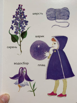 Елена Ивановская: Моя первая книжка о цвете