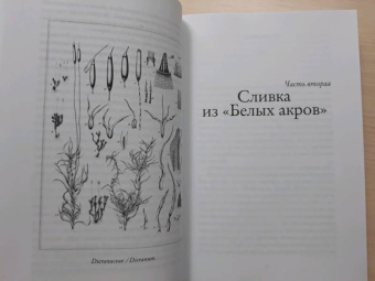 Элизабет Гилберт: Происхождение всех вещей