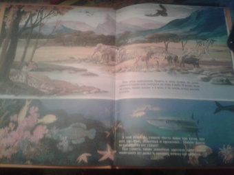 Евстигнеев, Ященко: Кто на свете старше динозавра... или Почему киты живут в воде, а слоны на суше?