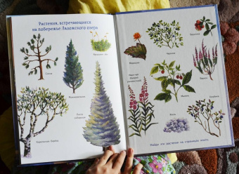 Кристина Кретова: Приключения мышонка Недо на Ладоге. Географические сказки