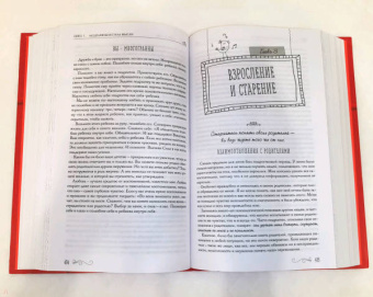 Луиза Хей: Книга женского счастья. Все о чем мечтаю. Lady in red