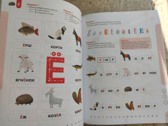 Ирина Мальцева: Буквы. Учимся уверенно узнавать буквы и слова. 5-6 лет