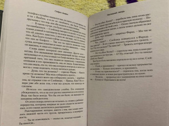 Стефан Анхем: Последний гвоздь