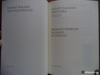 Вальзер, Шишкин: Прогулка