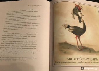 Бенжамен Лакомб: Мария-Антуанетта. Тайный дневник королевы