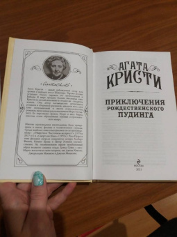 Агата Кристи: Приключения рождественского пудинга