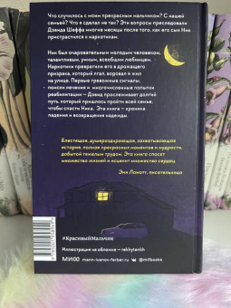 Дэвид Шефф: Красивый мальчик. Правдивая история отца, который боролся за сына