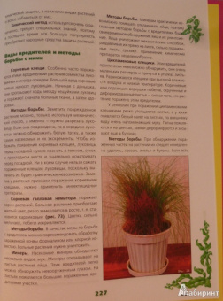 Иллюстрированная энциклопедия комнатных растений