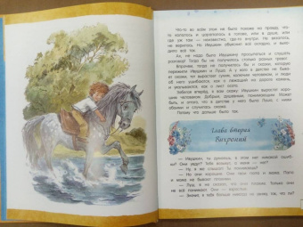Ирина Токмакова: Счастливо, Ивушкин!