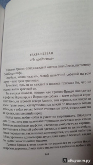 Найт, Терхэн: Лесси. Две истории о собаках