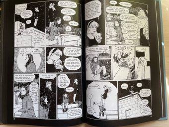 Терри Мур: Воскресение Рэйчел. Том 3