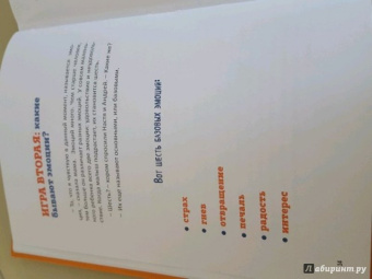 Анна Быкова: Как подружить детей с эмоциями. Советы "ленивой мамы"