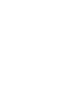 Сэйс Нотебоом: Ритуалы