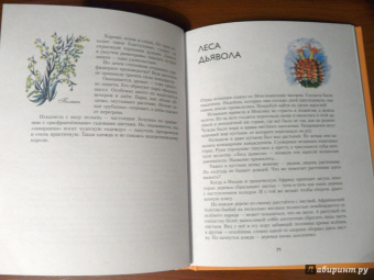 Николай Осипов: Заколдованное дерево