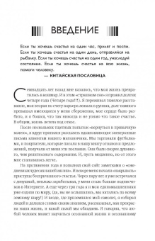 Майк Дули: Игра в матрицу. Как идти к свое мечте, не зацикливаясь на второстепенных мелочах