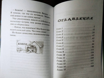 Юлия Лавряшина: Собачья жизнь Гриши и Васьки