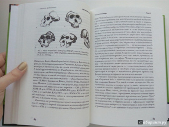 Станислав Дробышевский: Достающее звено. Книга вторая. Люди