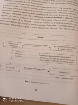 Нина Кулькова: Анатомия речи. Как отстроить речь у детей с особенностями в развитии. Уникальный путеводитель