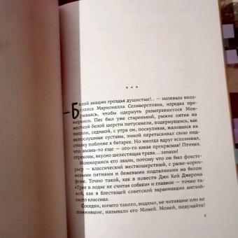 Олег Рой: Имитатор. Увертюра