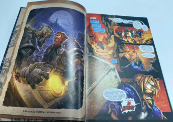 Микки Нельсон: World of Warcraft. Испепелитель