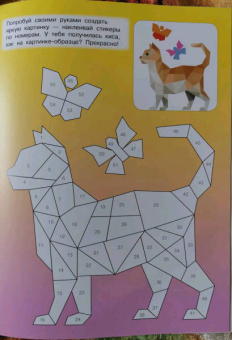 Котята и кошки