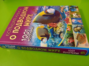 Вячеслав Ликсо: Большая книга о подводном мире. 1001 фотография