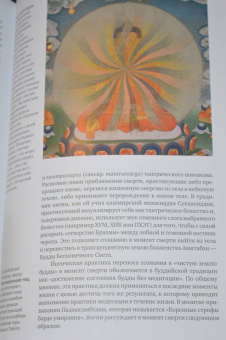 Иан Бейкер: Тибетская йога. Теория и практика тантрического буддизма