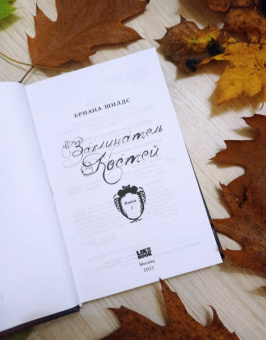 Бриана Шилдс: Заклинатель костей. Книга 1