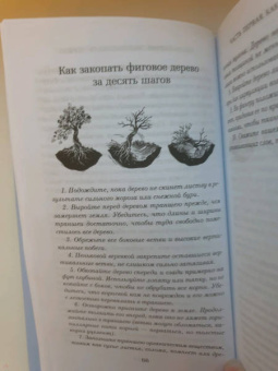 Элиф Шафак: Остров пропавших деревьев