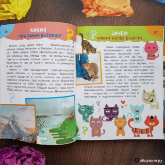 Малов, Альтшулер: 100 тысяч почему