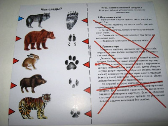 Дикие животные России