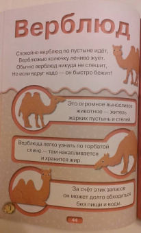 Богуш, Федорова: Животные 4D